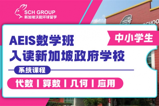 AEIS数学班