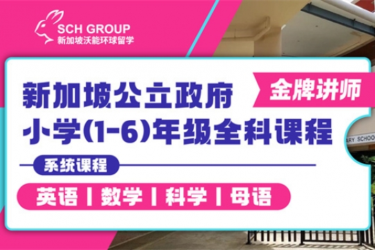新加坡公立政府 小学(1-6)