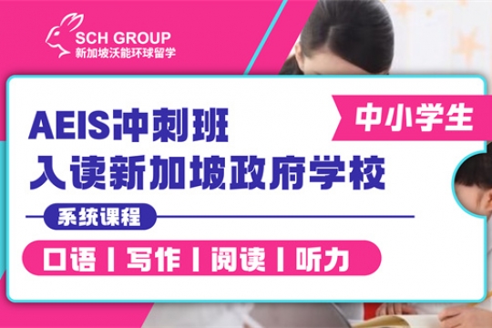 AEIS冲刺班